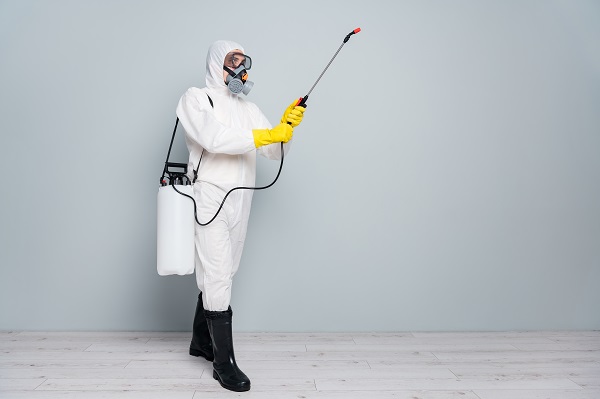 Seasonal Pests: What to Watch Out for in Each Time of Year